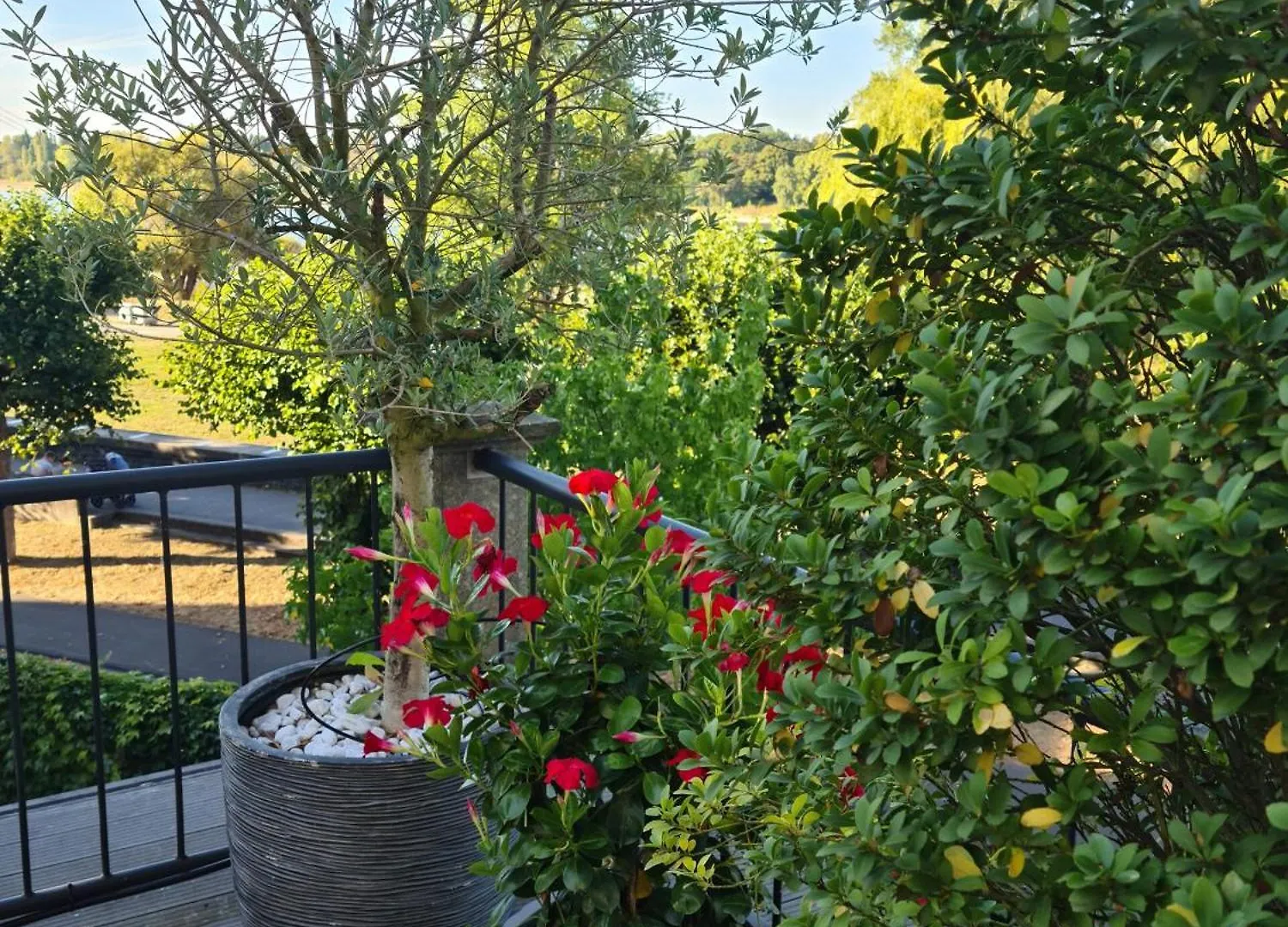 Villahotel Rheinblick Keulen 4*,  Duitsland